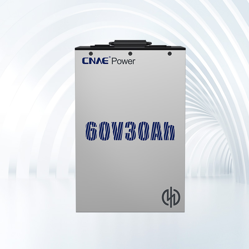 CNAE PACK NA<sup>+</sup> 6030Ah（外卖版）