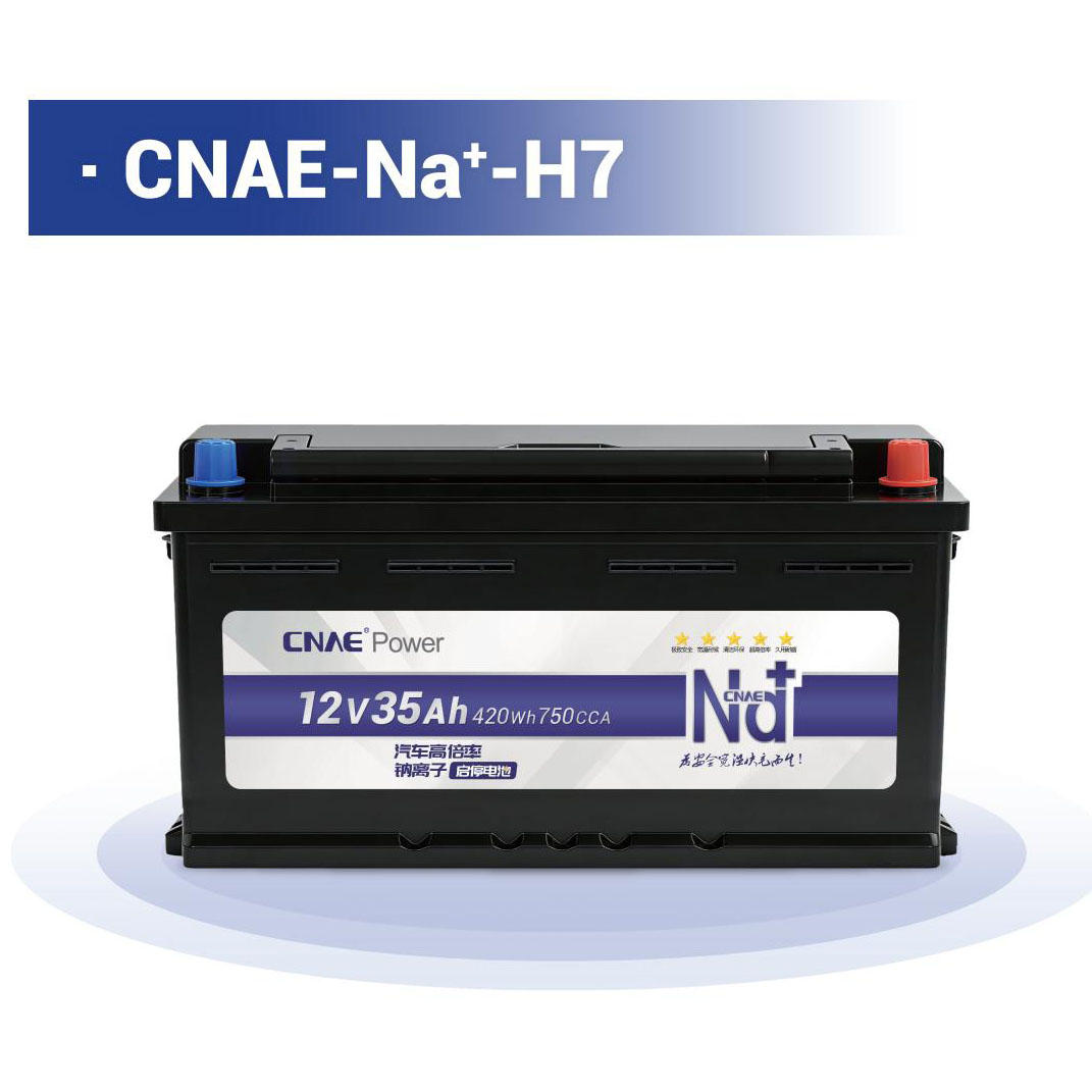 CNAE-Na<sup>+</sup>-H7