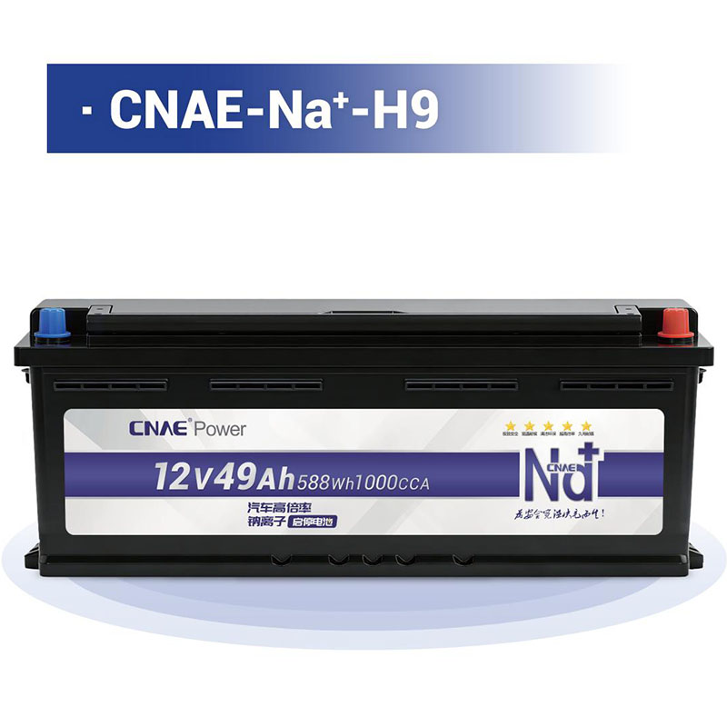 CNAE-Na<sup>+</sup>-H9